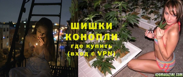 гашик Богородск