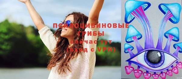 гашик Богородск